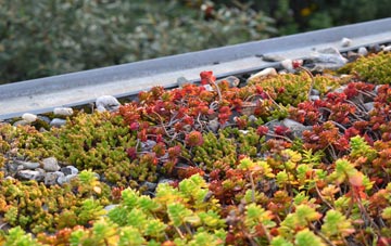 the cost of Riley Green green roof installation