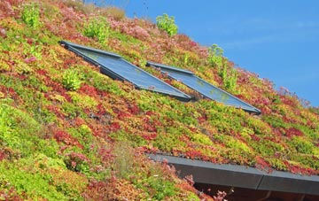 Riley Green living roof systems