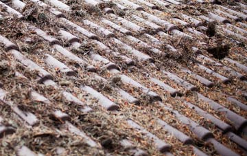 Riley Green roof cleaning companies